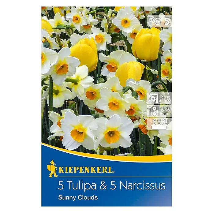 Kiepenkerl Frühlingsblumenzwiebeln 5 Tulpen & 5 Narzissen - 10 Stk., Sunny Clouds - Vorderansicht