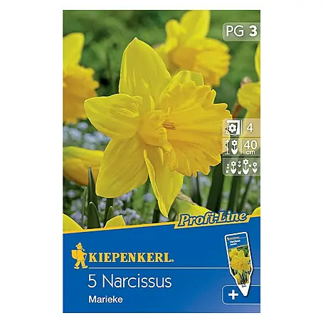 Kiepenkerl  Frühlingsblumenzwiebeln Narzisse 'Marieke'