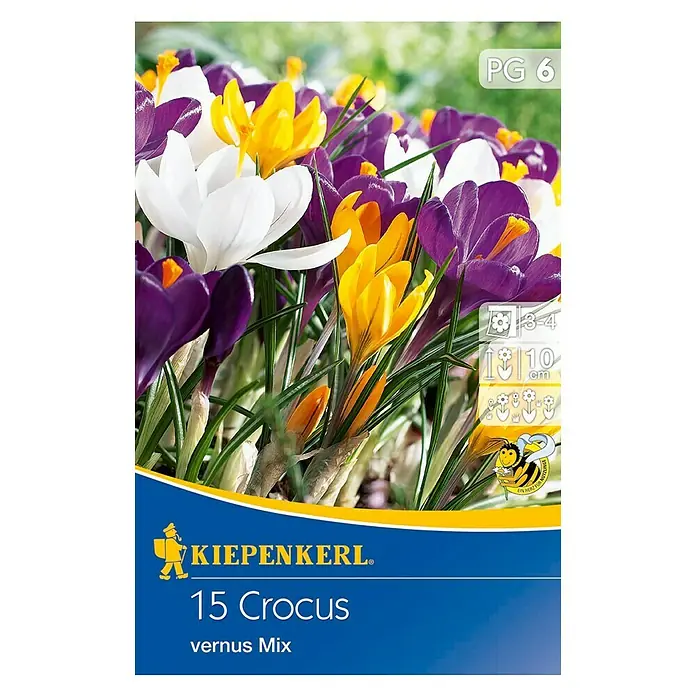 Kiepenkerl Frühlingsblumenzwiebeln Krokus Mix - Crocus vernus, 15 Stk. - Vorderansicht