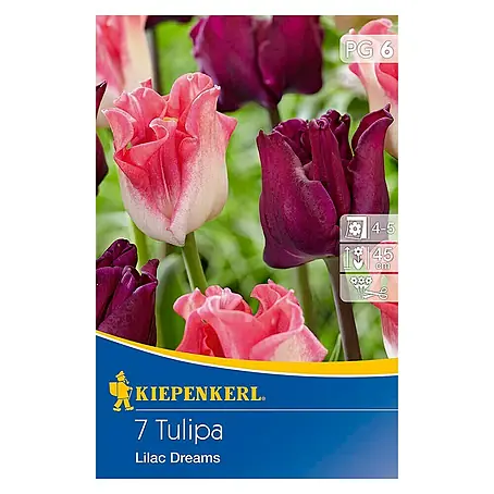 Kiepenkerl  Frühlingsblumenzwiebel-Mix