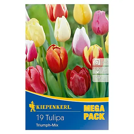 Kiepenkerl  Frühlingsblumenzwiebel-Mix Tulpen Triumph -Mix