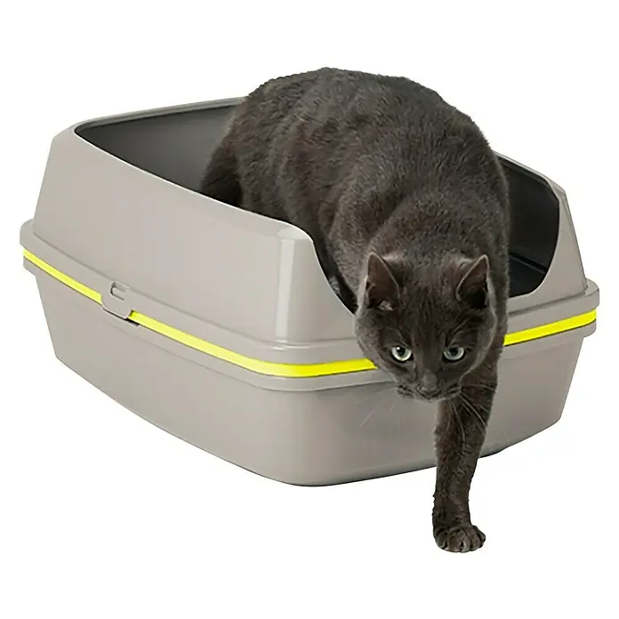 Karlie Arenero para gatos Lift To Sift - 57 x 43 x 27 cm, Plástico - Producto en uso