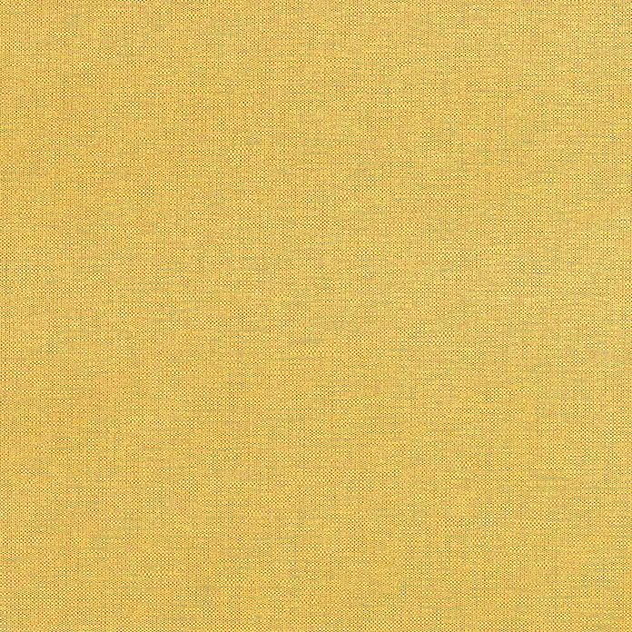 Expo Ambiente Panel zavjesa Basic - Zlatne boje, Š x V: 60 x 300 cm