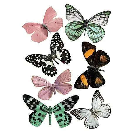 Adhesivos decorativos 3D Mariposas Bucólicas