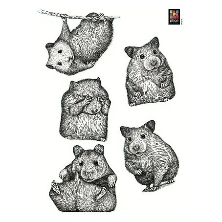 Adhesivos decorativos