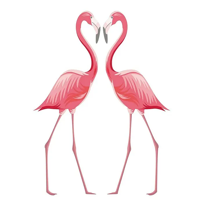 Adhesivos decorativos - Flamingo, Rosa, 48 x 68 cm - Vista frontal