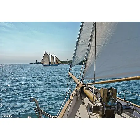 Komar  Foto tapeta Sailing