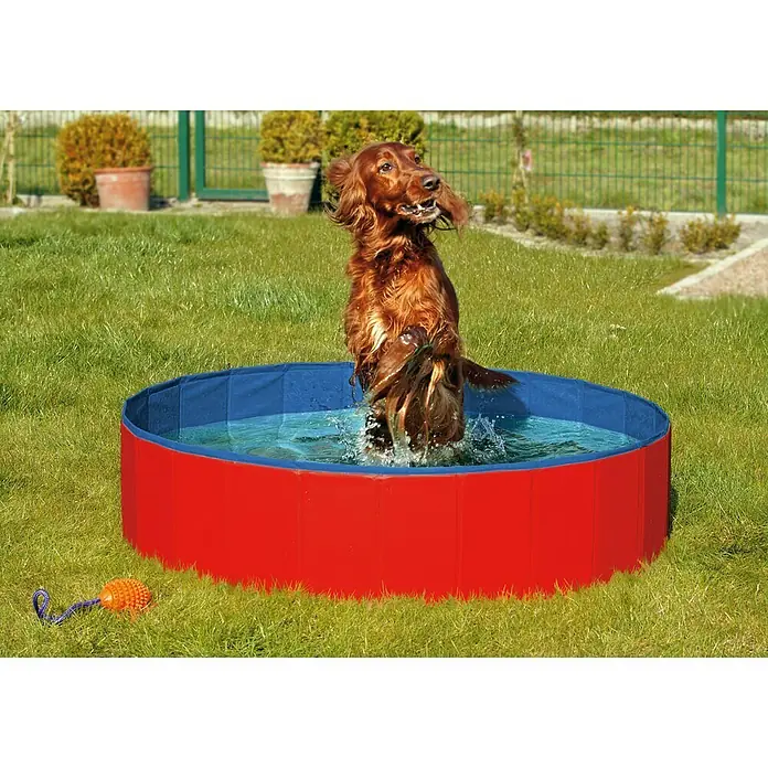 Karlie Piscina para perros - 160 x 160 x 20 cm, Azul/Rojo - Producto en uso