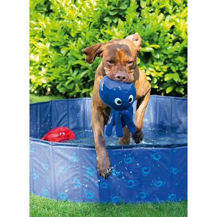 Karlie Juguete para perros Octo - 23 x 30 x 33 cm, Neopreno - Producto en uso