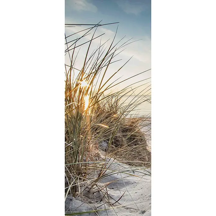 SanDesign Alu-Verbundplatte - 100 x 250 cm, Nordsee Düne 1 - Vorderansicht