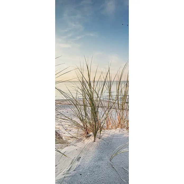 SanDesign Alu-Verbundplatte - 100 x 250 cm, Nordsee Düne 2 - Vorderansicht