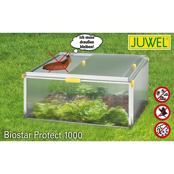 Juwel Frühbeet Biostar Protect 1000 - 100 x 76,5 x 52 cm, Kunststoff - Rechte Seitenansicht