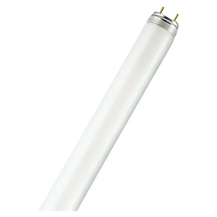 Leuchtstoffröhre - 120 cm, 36 W, Tageslichtweiß, T8, G13 - Detailaufnahme
