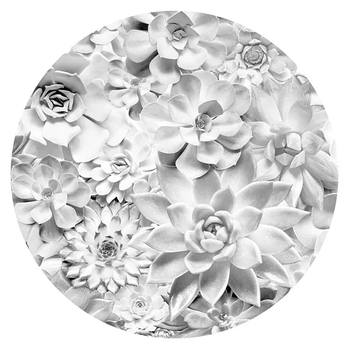 Komar Dots Fototapete rund Echeveria - 125 cm, Selbstklebend - Draufsicht
