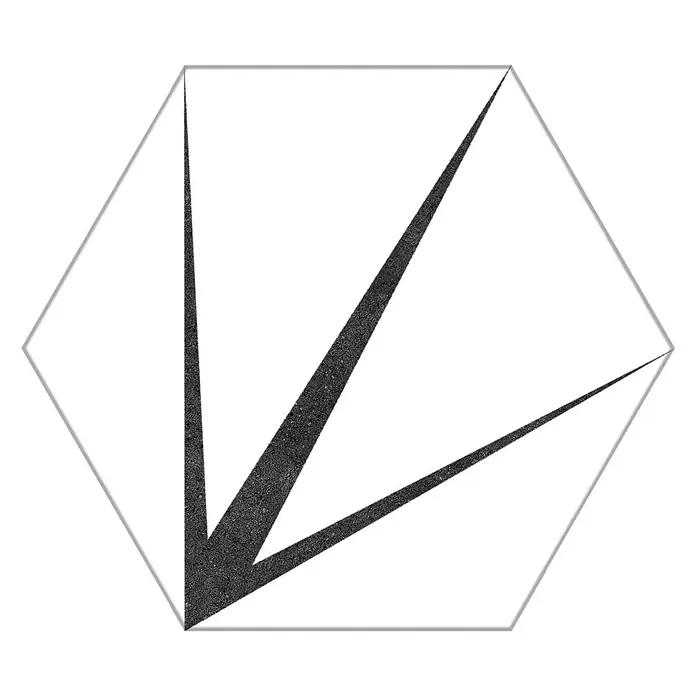 Feinsteinzeugfliese Hexagon Trident Blanco - 22 x 25 cm, Weiß/Schwarz, Matt - Draufsicht
