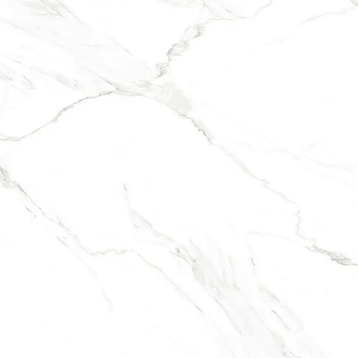 BHS Showroom Pavimento porcelánico Elegant - 60 x 60 cm - Primer plano