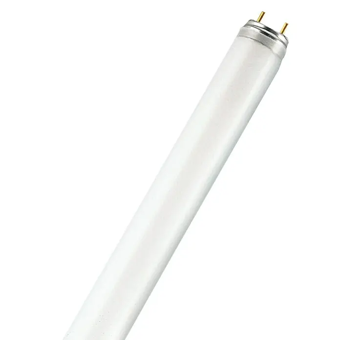 Leuchtstoffröhre - 60 cm, 18 W, Tageslichtweiß, T8, G13 - Detailaufnahme