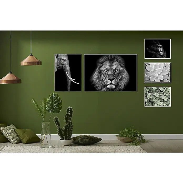 Cuadro de lámina Elefante - Elephant, An x Al: 50 x 70 cm - Foto ambiente