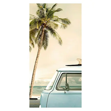 Póster Palmera y coche