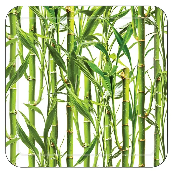 Diaqua Podloga za tuš kabinu - 53 x 53 cm, PVC, Zeleno-bijele boje - Pogled s gornje strane