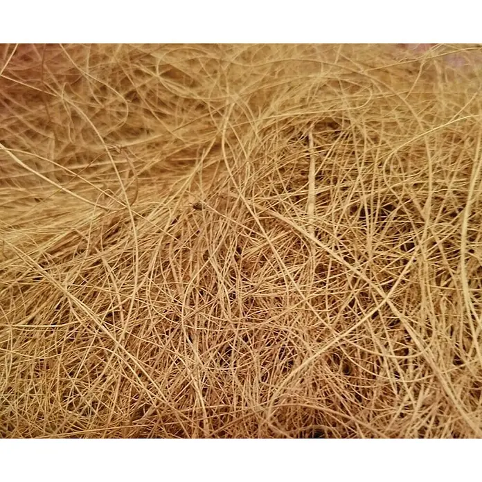 Maceta de fibra natural de coco - Diámetro: 35 cm, Marrón, Redonda - Foto ambiente