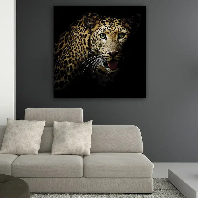 Póster Leopardo - Leopard, An x Al: 80 x 80 cm - Foto ambiente