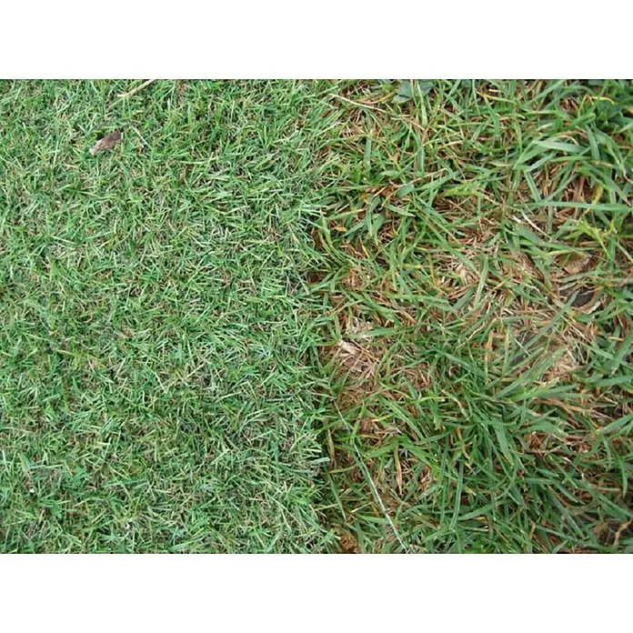 Nortene Umjetna trava Salzburg - D x Š x V: 4 m x 2 m x 20 mm, Zelene boje - Živopisni prikaz