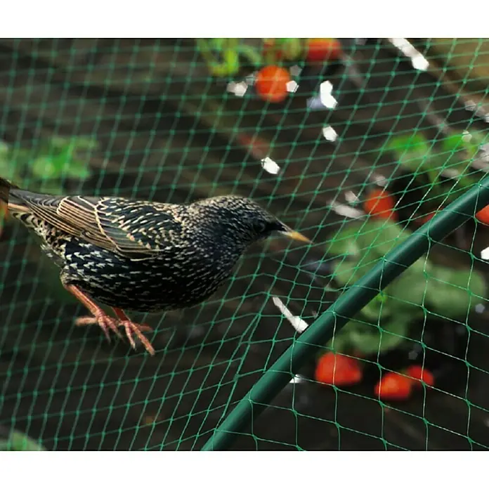 Nortene Zaštita od ptica Birdnet - 4 x 5 m - Živopisni prikaz