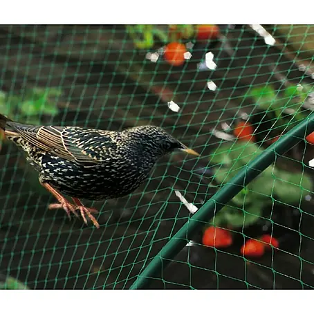 Nortene  Zaštita od ptica Birdnet