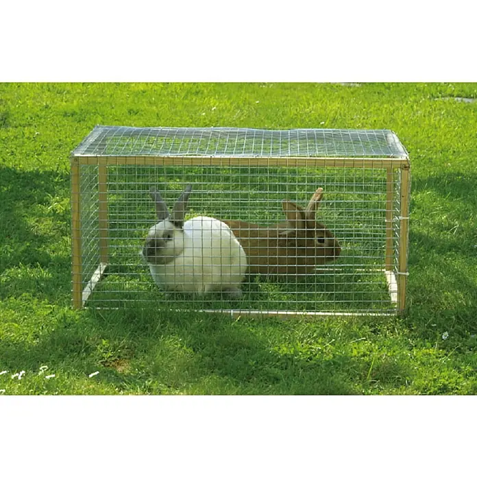 Nortene Žičana mreža Fensanet 12 - 5 x 1 m, Srebrne boje - Živopisni prikaz