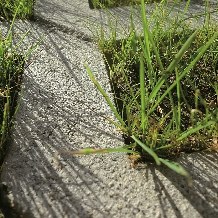 Zobec Betonske ploče za vrt - 40 x 40 x 8 cm, Beton - Živopisni prikaz