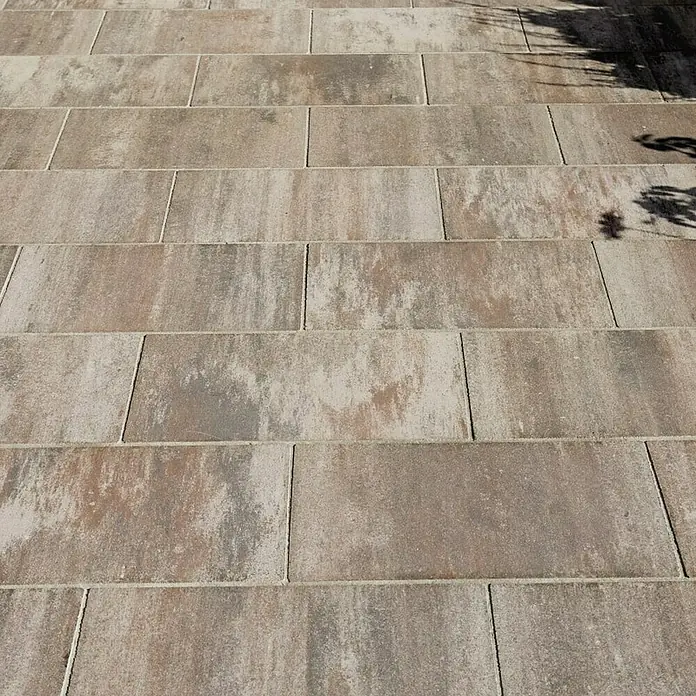 Semmelrock Vrtna ploča Asti Colori - D x Š x V: 60 x 30 x 5 cm - Živopisni prikaz