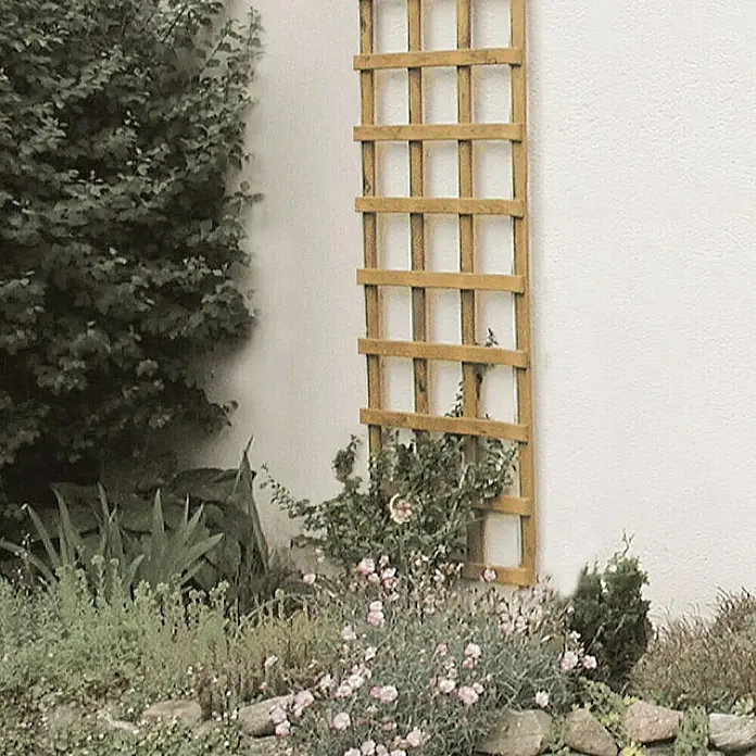 Rešetkasta ograda za biljke penjačice - Š x V: 60 x 180 cm - Živopisni prikaz