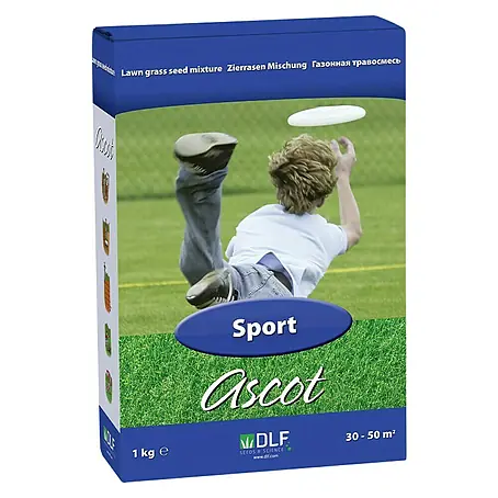 DLF  Sjeme za travu za igrališta i sportske travnjake Turfline Ascot Sport