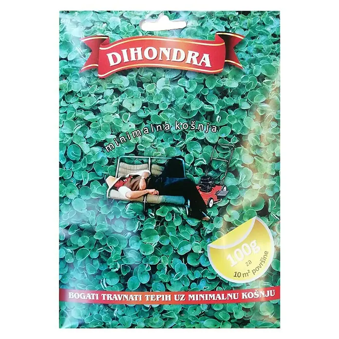 Sjeme za travu Dihondra - 100 g, 10 m² - Pogled sprijeda