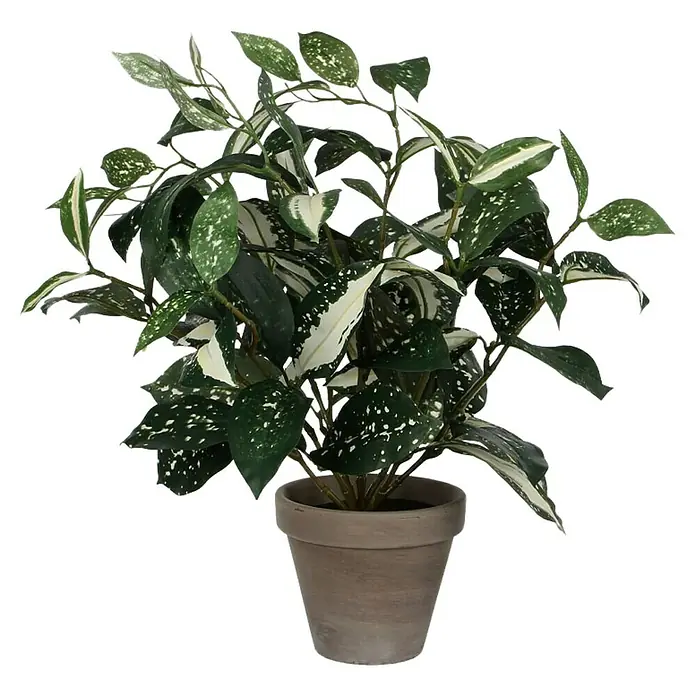 Umjetna biljka Cordyline u tegli - Visina: 35 cm, Zelene boje, Plastika - Pogled sprijeda
