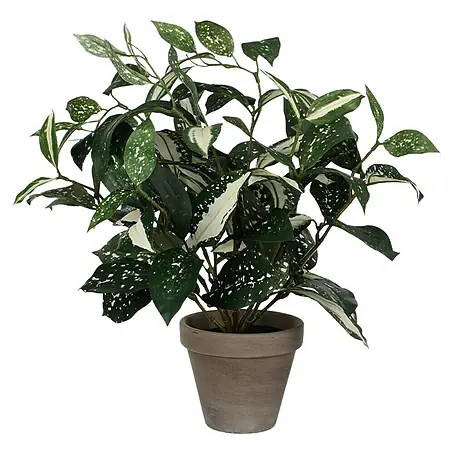 Umjetna biljka Cordyline u tegli