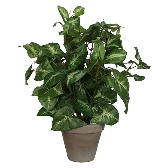 Planta artificial Fittonia - Altura: 35 cm, Verde, Plástico - Vista frontal