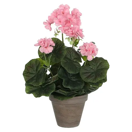Umjetna biljka Pelargonija u tegli