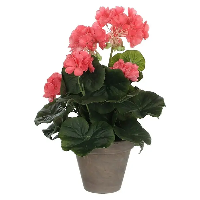 Planta artificial Geranio - Altura: 34 cm, Melocotón, Plástico - Vista frontal