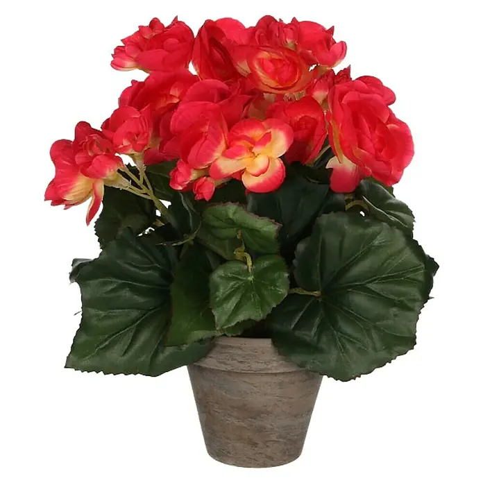Planta artificial Begonia - Altura: 25 cm, Rojo, Plástico - Vista frontal