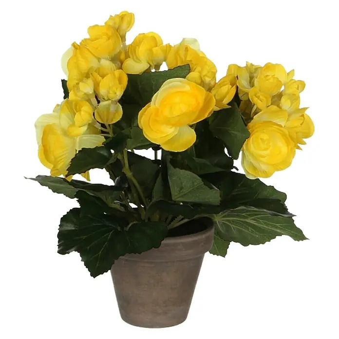 Planta artificial Begonia - Altura: 25 cm, Amarillo, Plástico - Vista frontal