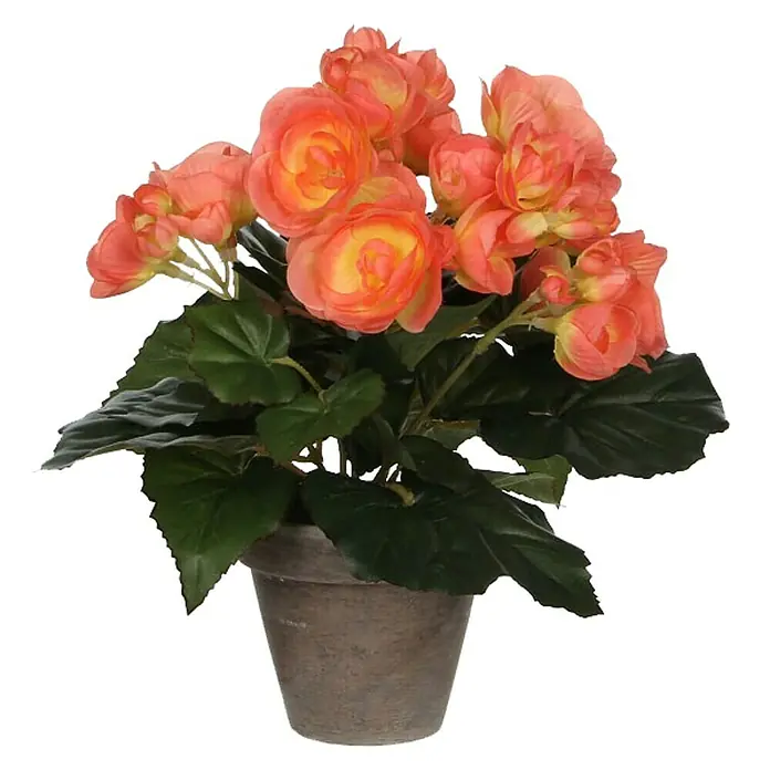 Planta artificial Begonia - Altura: 25 cm, Rosa, Plástico - Vista frontal