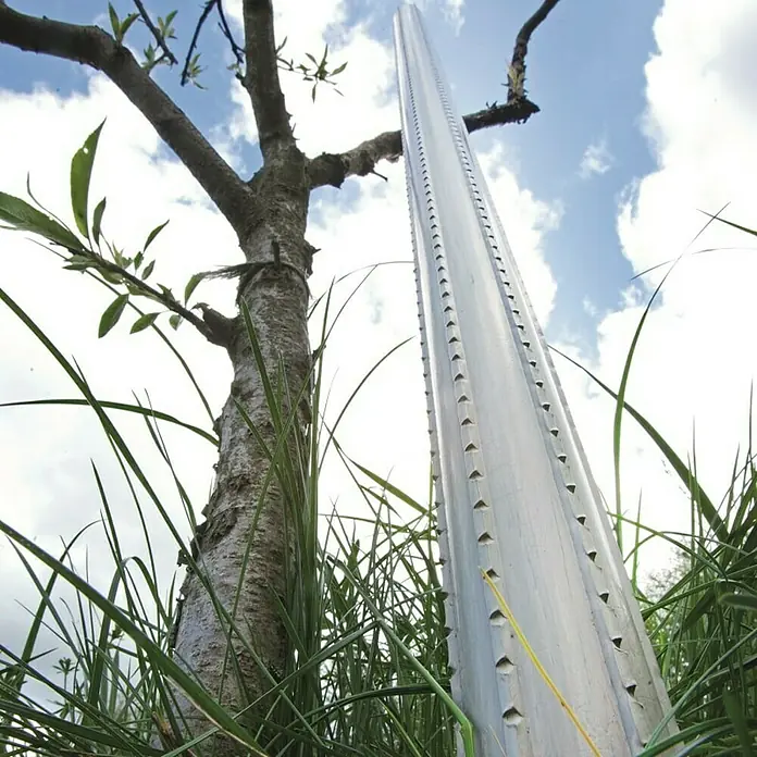 Držač za biljke - 170 cm, Sive boje - Živopisni prikaz
