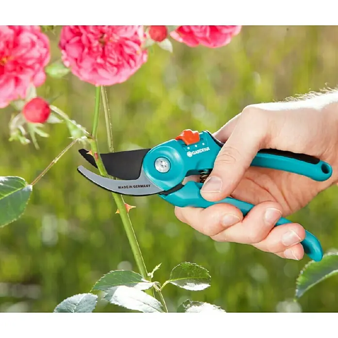 Gardena Classic Gartenschere S-M I - Schneidsystem: Bypass, Max. Aststärke: 22 mm - Anwendungsbeispiel