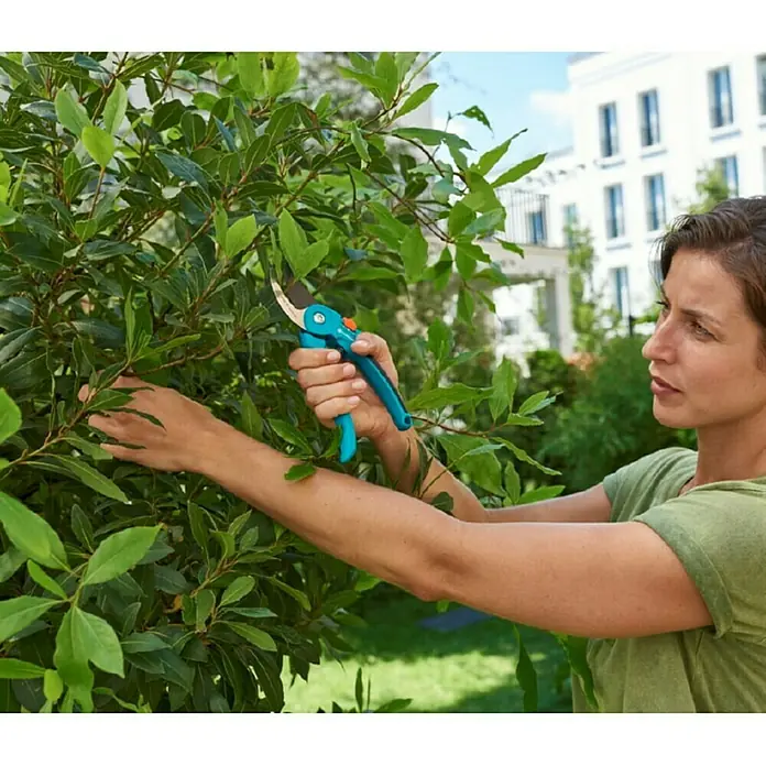 Gardena Classic Gartenschere S-M I - Schneidsystem: Bypass, Max. Aststärke: 22 mm - Anwendungsbeispiel