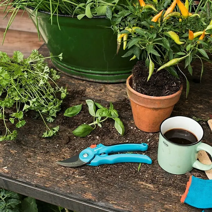 Gardena Classic Gartenschere S-M I - Schneidsystem: Bypass, Max. Aststärke: 22 mm - Anwendungsbeispiel