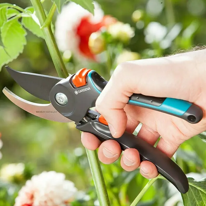 Gardena Comfort Gartenschere B/M - Bypass, Max. Aststärke: 24 mm - Anwendungsbeispiel