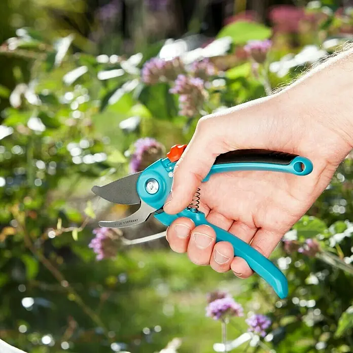 Gardena Classic Gartenschere B/S - Bypass, Max. Aststärke: 20 mm - Anwendungsbeispiel