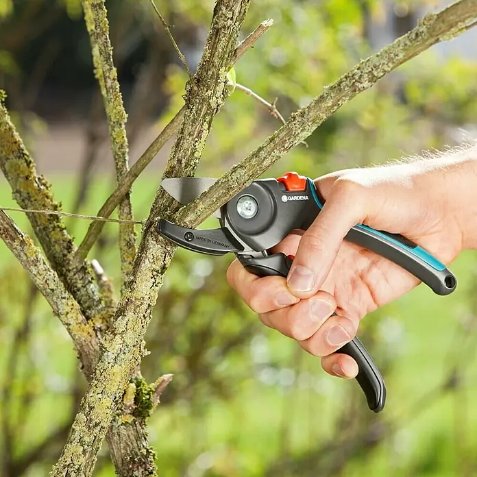 Gardena Comfort Vrtne škare A/M - Amboss, Maksimalna debljina grane: 23 mm - Proizvod u upotrebi